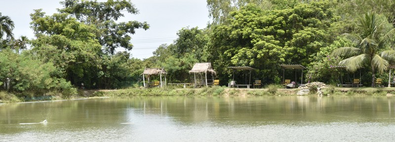 Freddies Fishing Park Pattaya